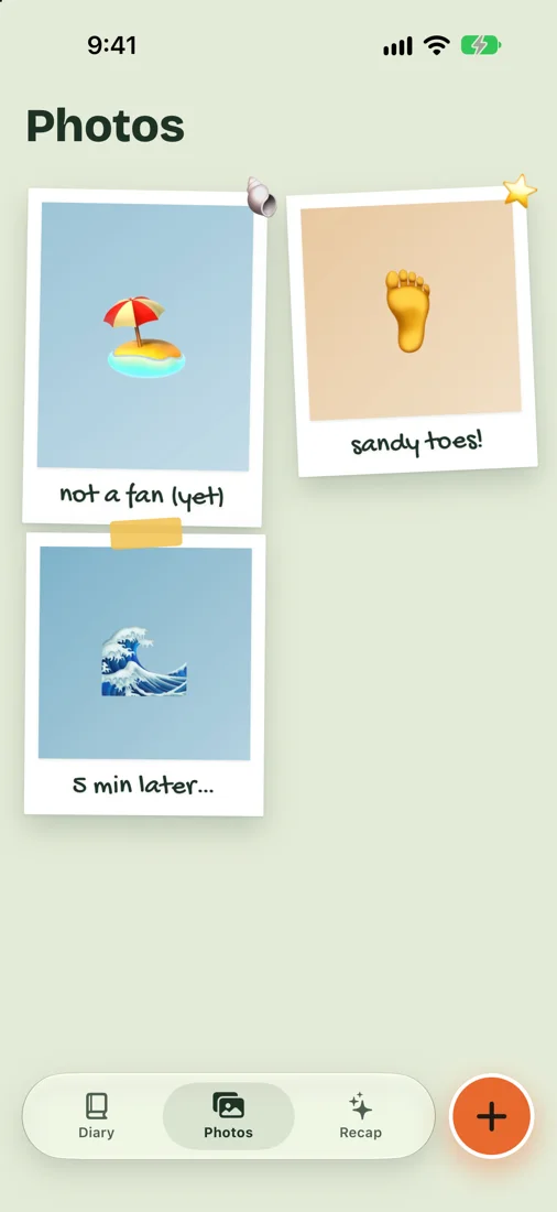 Every polaroid in the diary on one wall